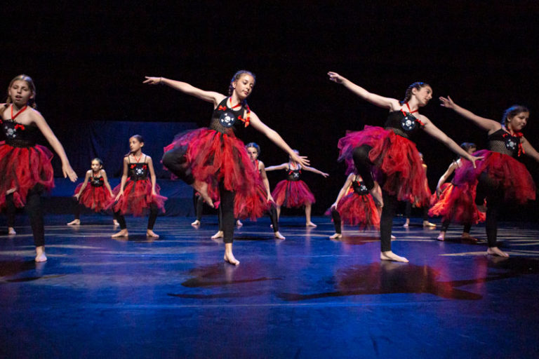 Sauvons nos gaulois spectacle EllZi Danse
