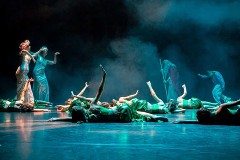 Sauvons nos gaulois spectacle EllZi Danse