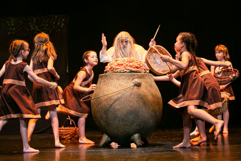 Sauvons nos gaulois spectacle EllZi Danse