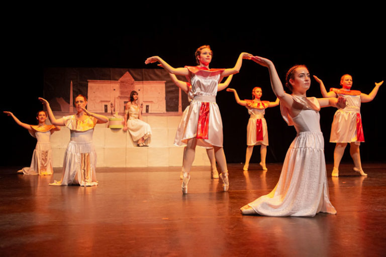 Sauvons nos gaulois spectacle EllZi Danse