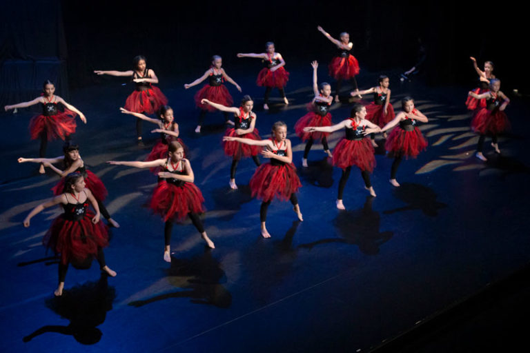 Sauvons nos gaulois spectacle EllZi Danse