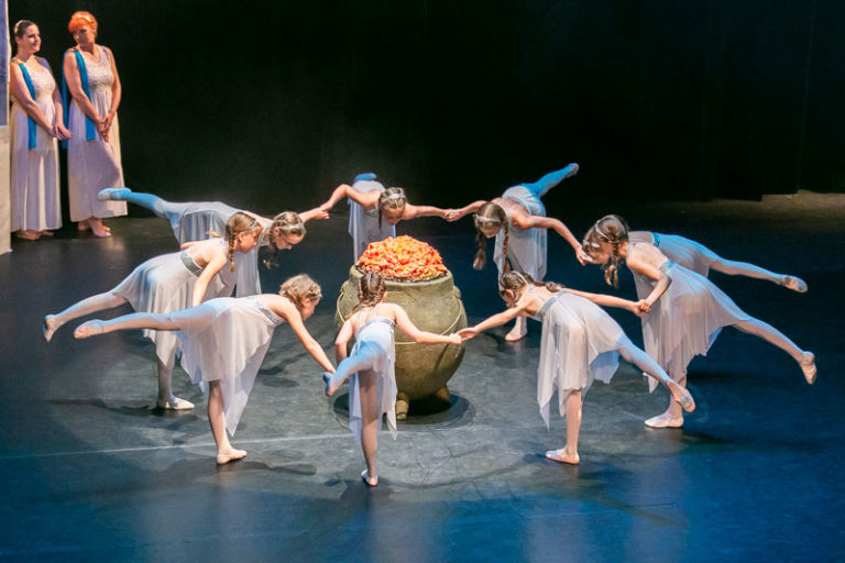 Sauvons nos gaulois spectacle EllZi Danse