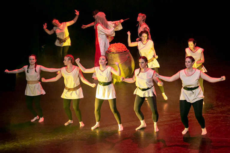 Sauvons nos gaulois spectacle EllZi Danse