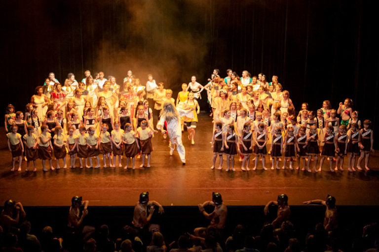 Sauvons nos gaulois spectacle EllZi Danse