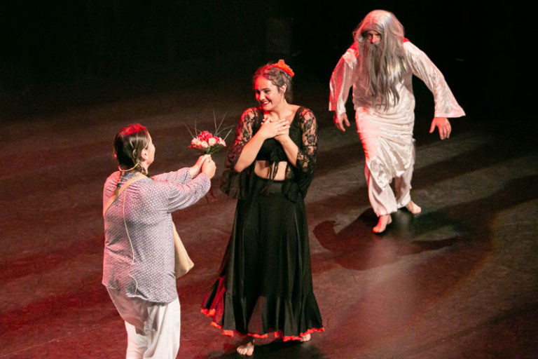 Sauvons nos gaulois spectacle EllZi Danse